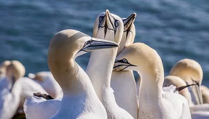 九游娱乐(jiuyou)官方网站-雄鹿主场火力全开再取一胜，雄鹿主场优势