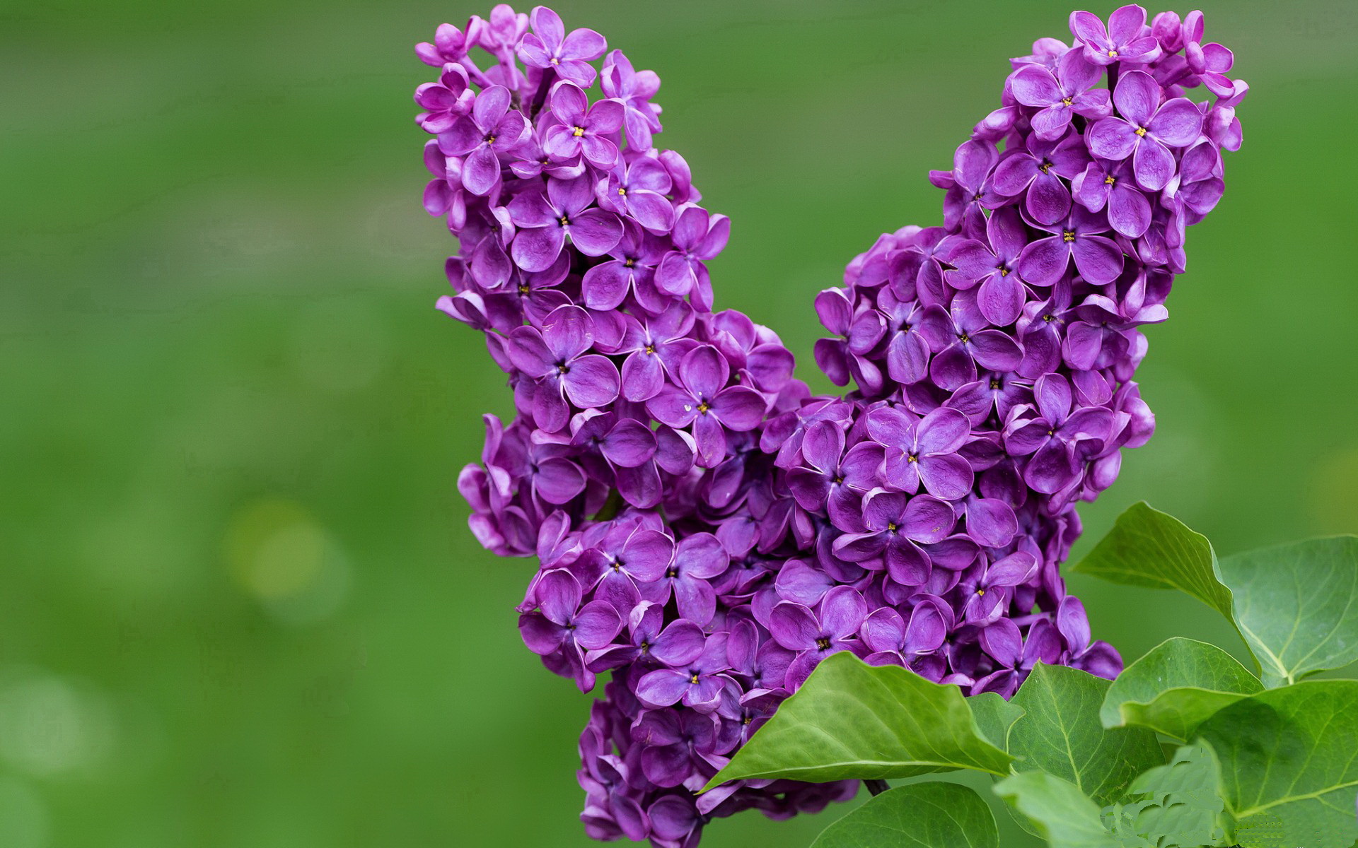 “梦想点亮未来”青少年篮球公益夜跑在上海引发热潮,践行体育公益