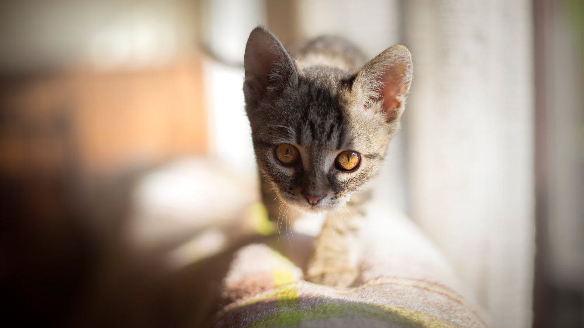 “逆天投篮！杜兰特绝命三分的背后战术分析”，杜兰特绝命三分 g3