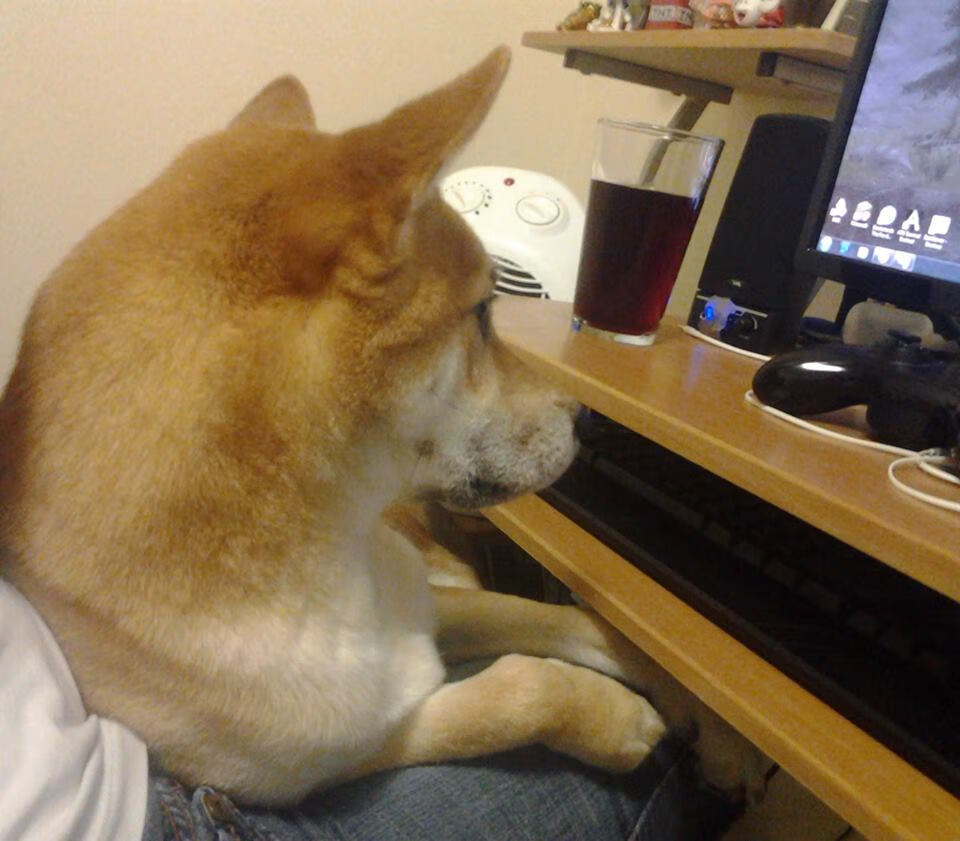 《精彩的战术布局:专家拆解经典比赛》