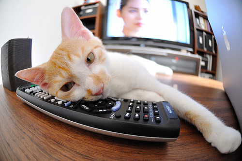 法甲赛季斗志高昂,悬念持续升温,法甲上赛季