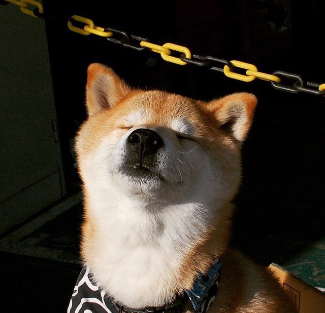 英格兰边锋连场破门状态火热，英格兰出线对阵