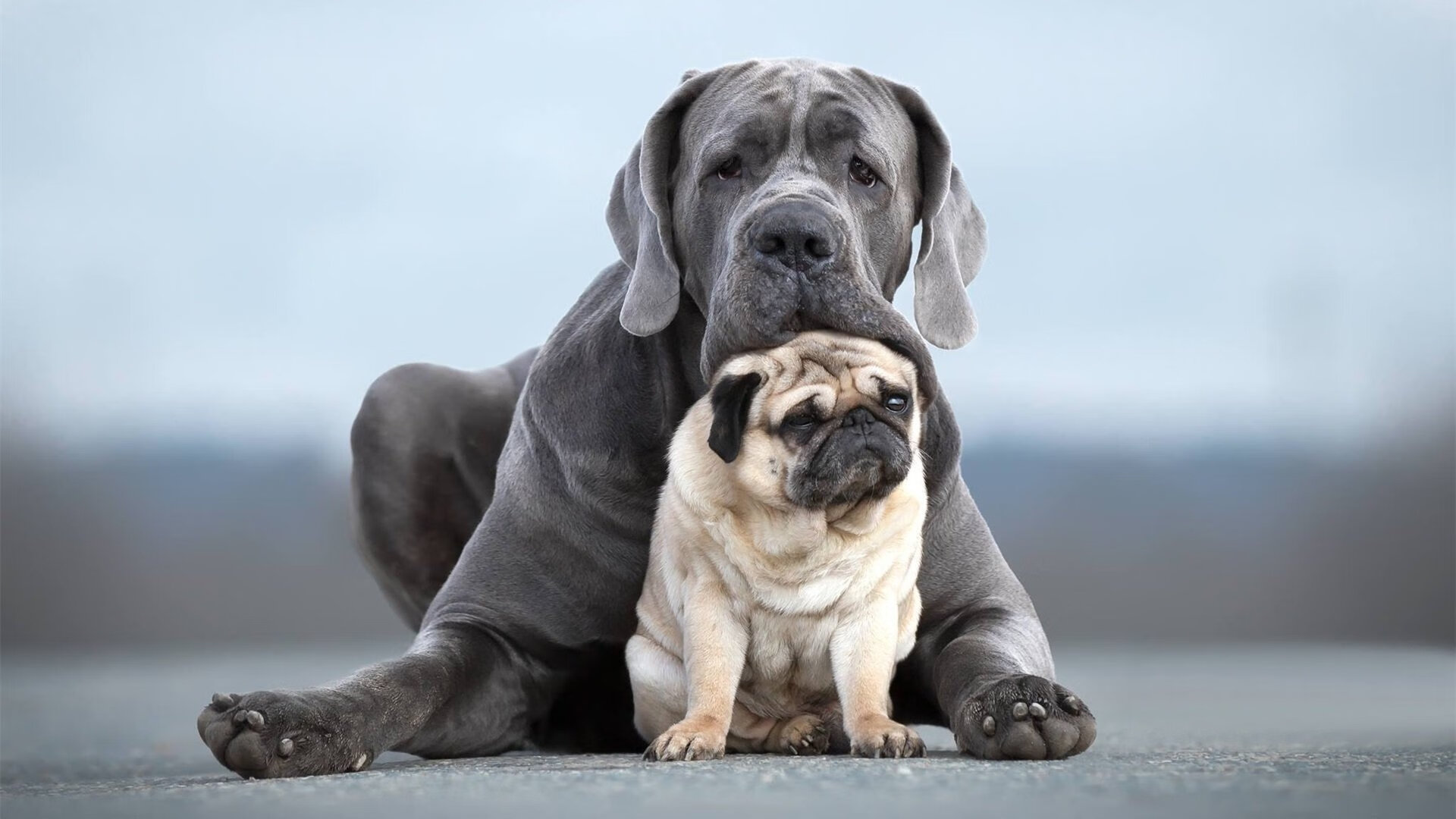 青少年露营骑行节，亲近自然的运动之旅，青少年徒步旅行组织
