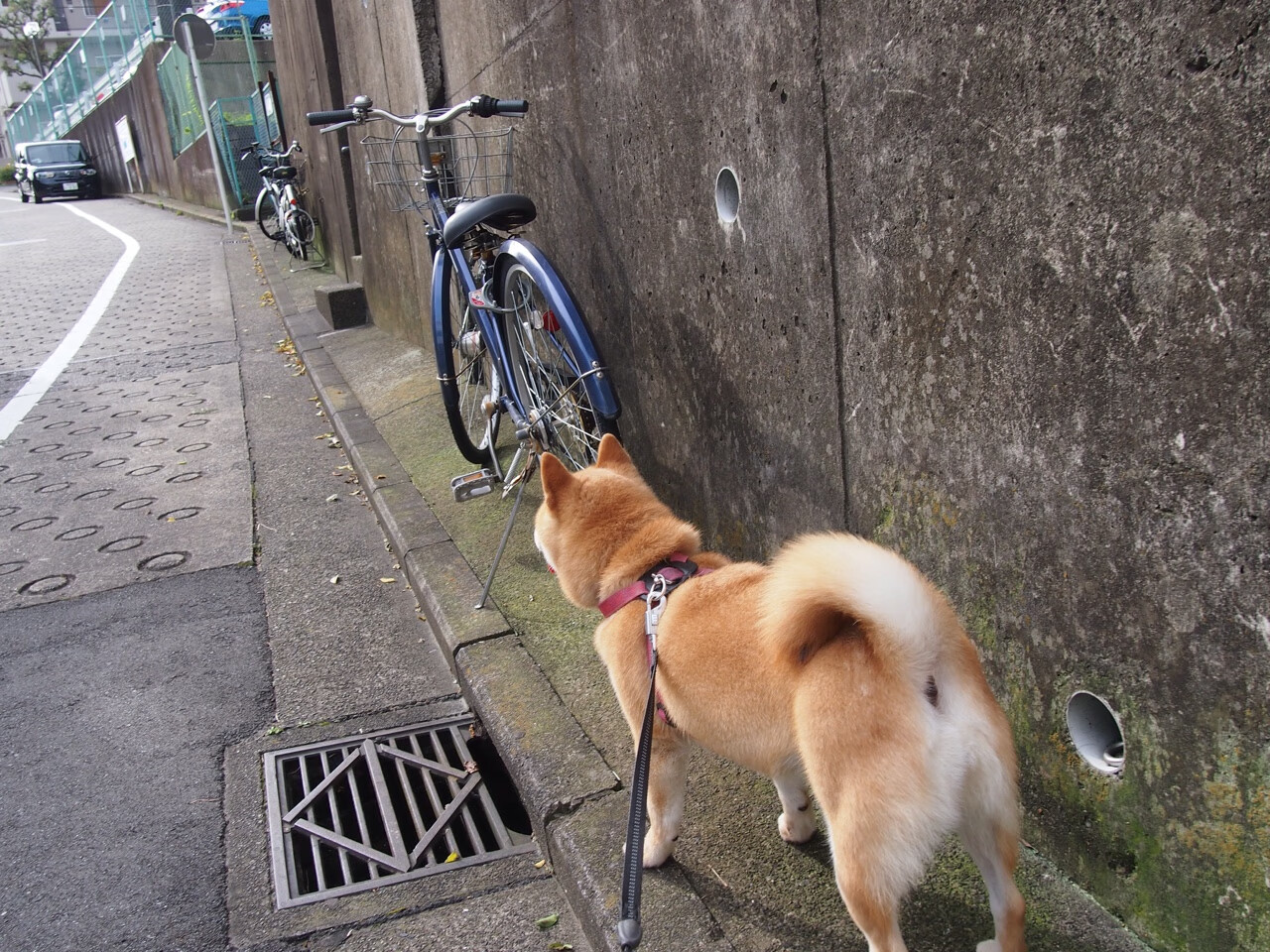 EDG举办职业选手心理适应能力培训