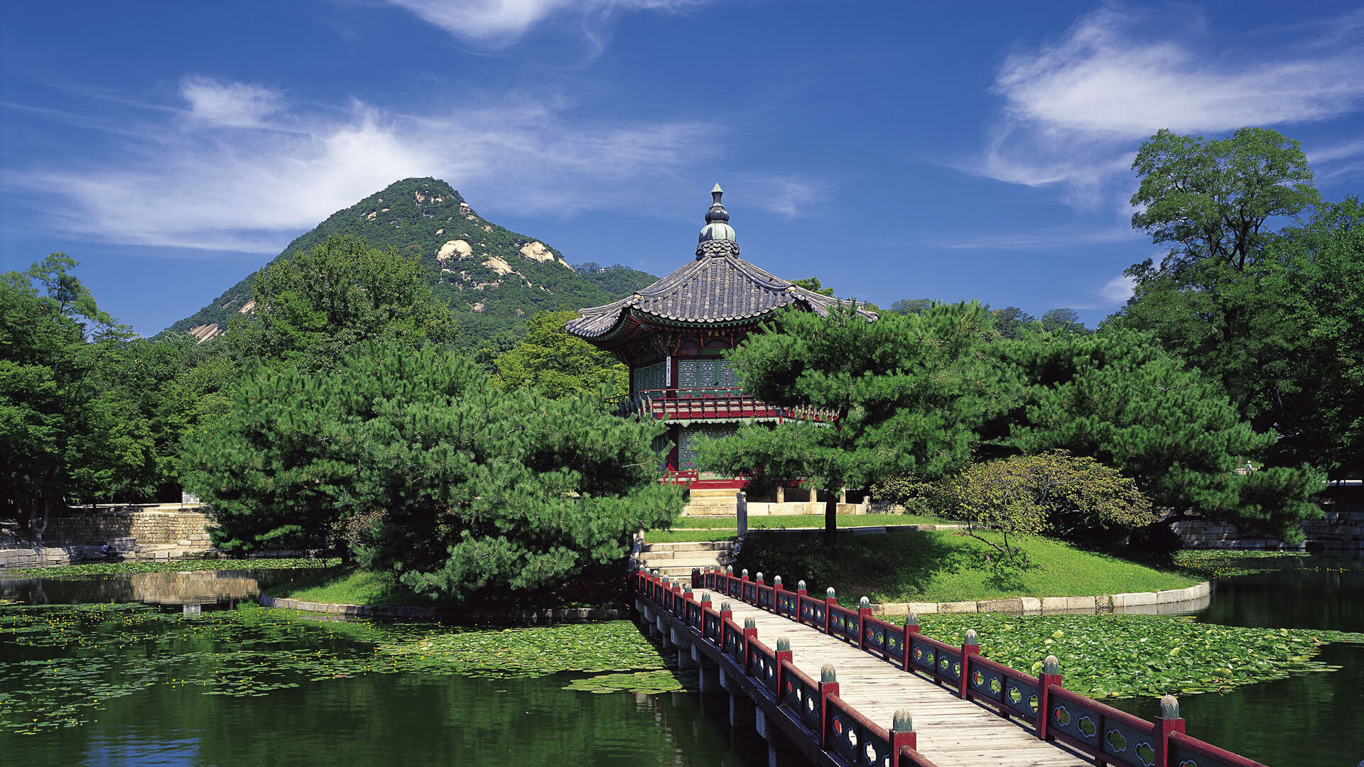 巴伦西亚主场告捷，成功收获喜人结果，巴伦西亚篮球赛程