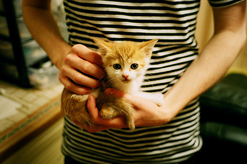 梅西连续传射助攻，球队攻势如虹，梅西发挥