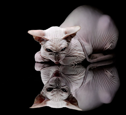 九游网页版入口-比利亚雷亚尔豪取六连胜，继续领跑，比利亚雷亚尔阵型