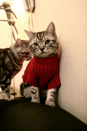 球员代言品牌是否影响球队赞助,球员代言品牌是否影响球队赞助的效果