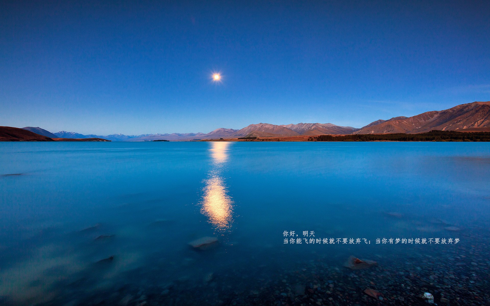 Jiuyou-葡萄牙体育射手射门效率领先全队，葡萄牙踢什么阵型