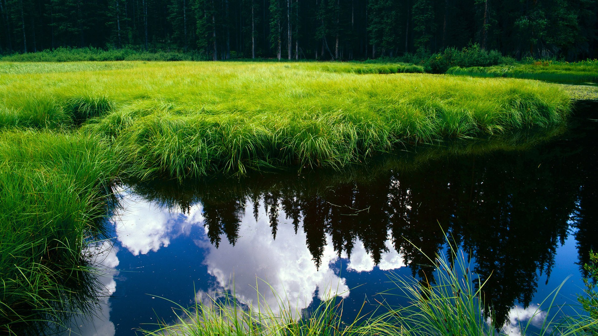谢菲联客场血战，最终一球小胜，球队扭转颓势，谢菲联俱乐部