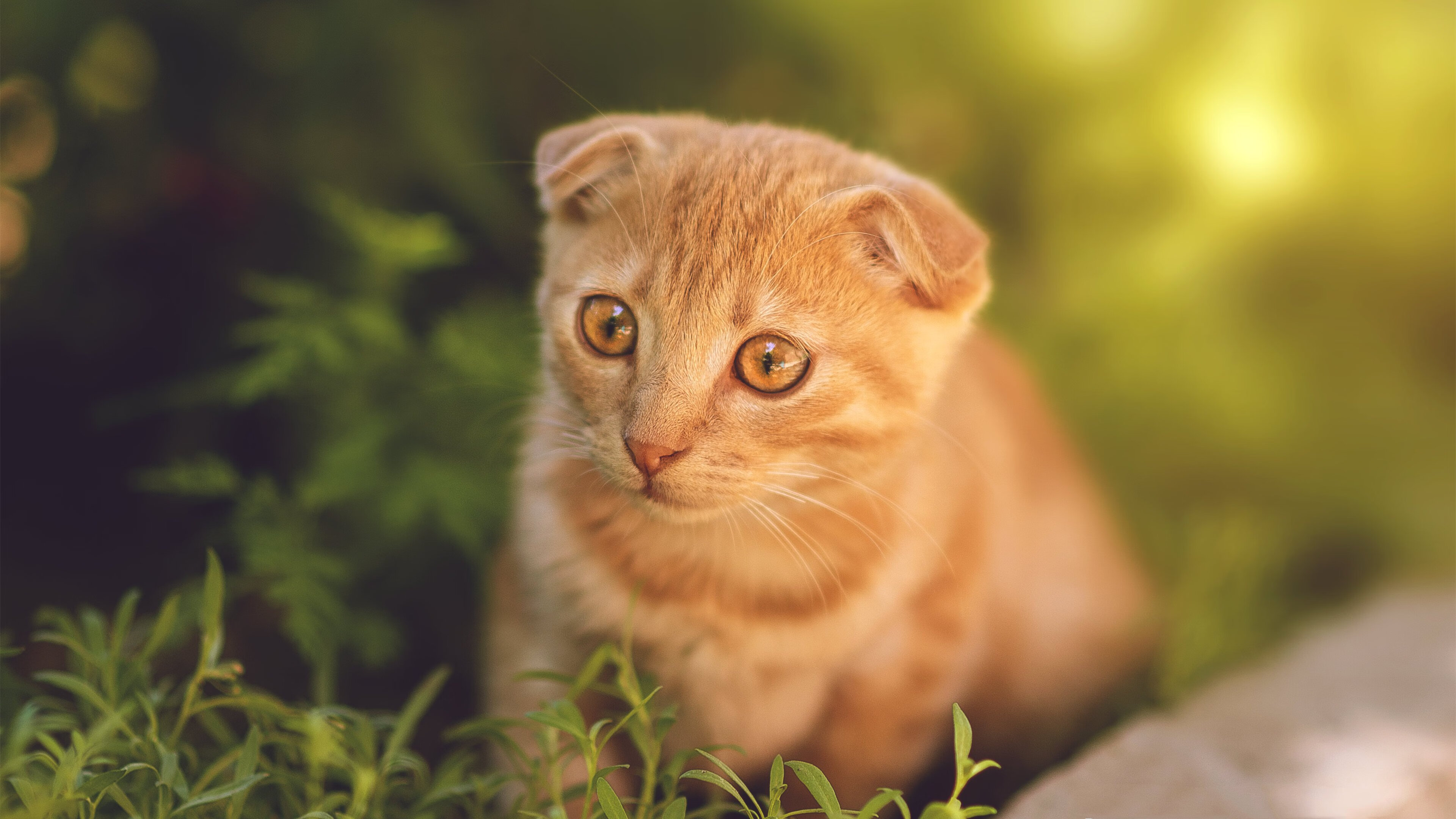 九游游戏中心-青少年篮球培训质量保障，青少年篮球培训的三要素