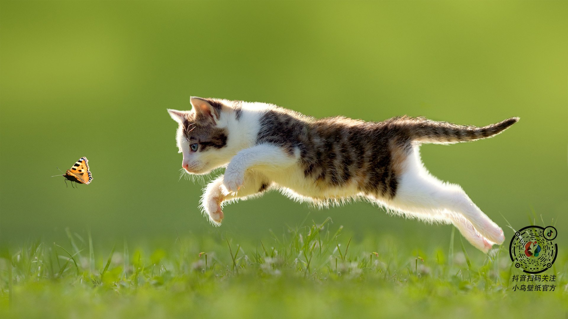 推动瑜伽与健康产业融合发展,推动瑜伽与健康产业融合发展的建议