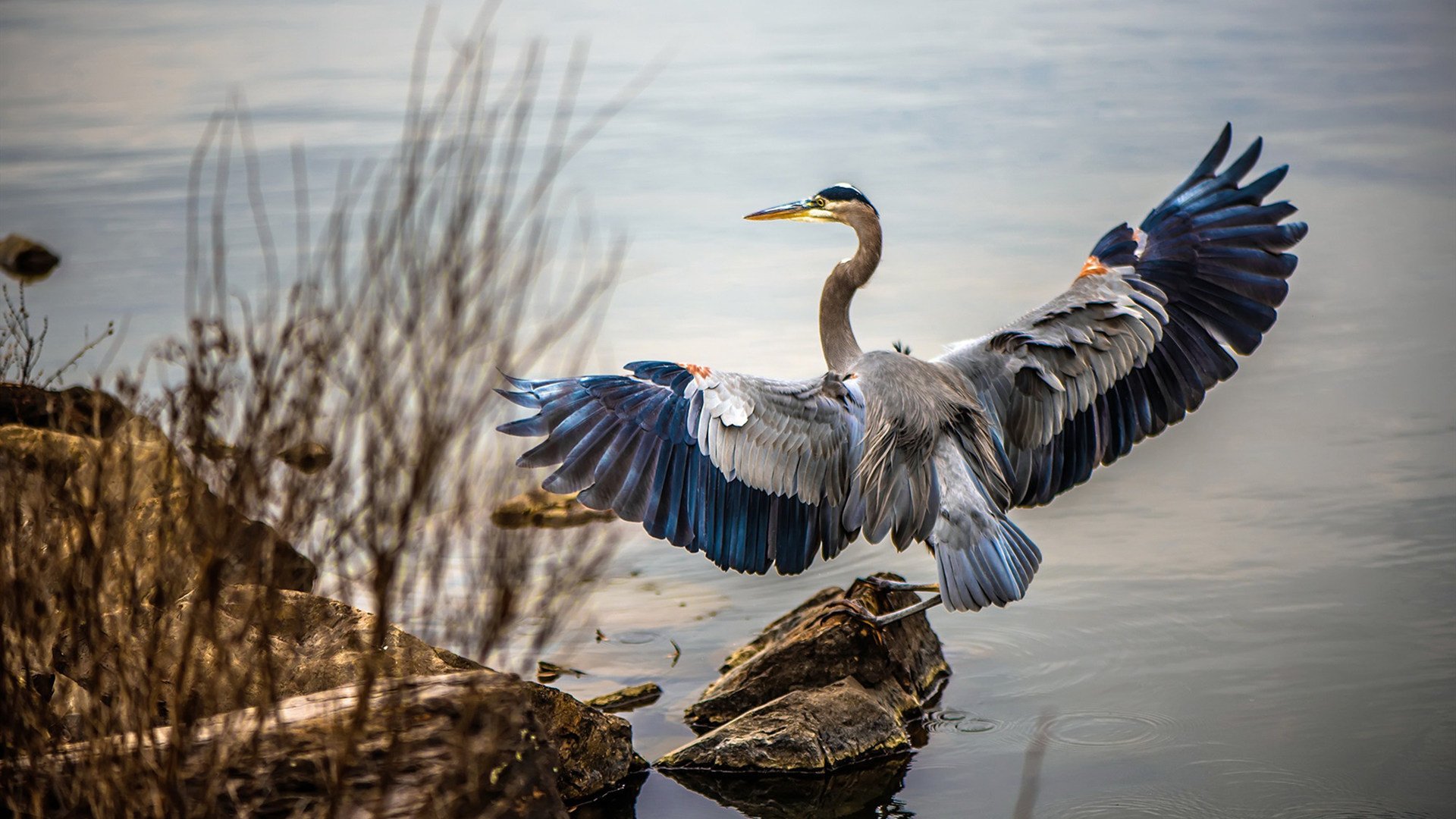英格兰2-2战平巴西，昂首出线，英格兰vs巴拉圭
