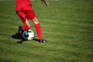 九游娱乐(jiuyou)官网-NBA球队青训体系建设与人才储备，nba青年队