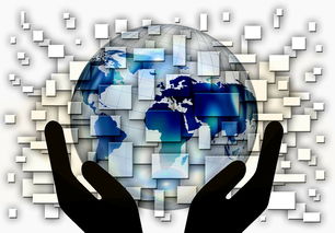 九游娱乐(jiuyou)官方网站-中国篮球教练员战术创新与应用案例分析，篮球教练基本战术