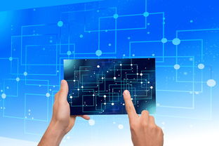 JIU YOU GAME-中国篮球青训体系教练员能力评估与发展规划，篮球教练员素养