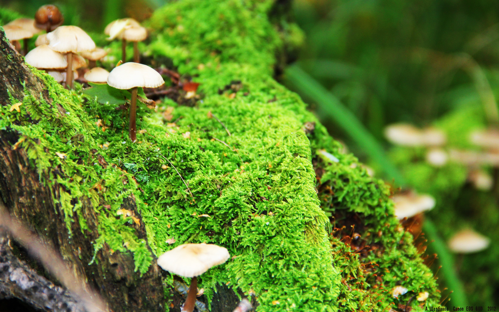 中超球队控球型打法统计分析，中场控球视频