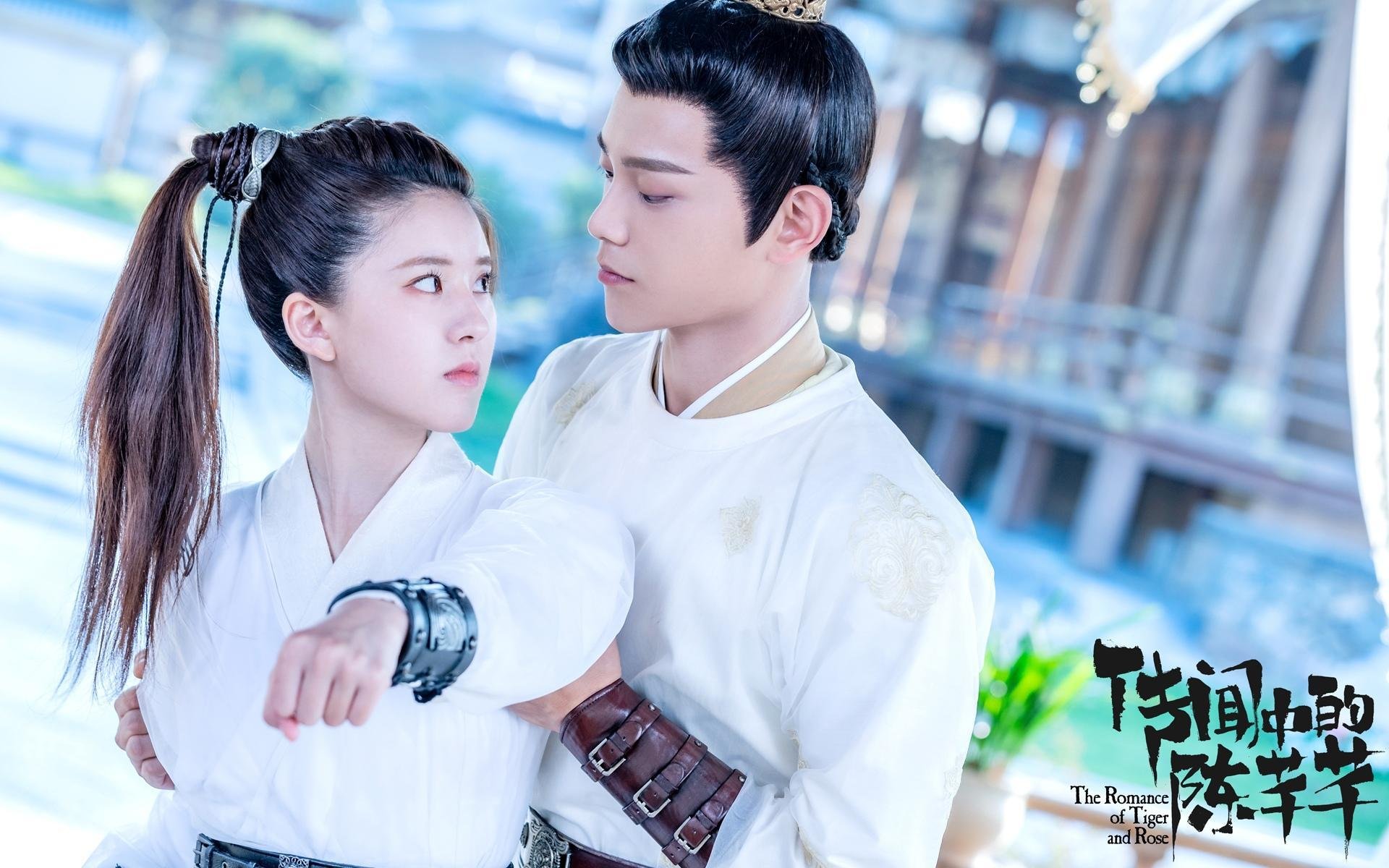 意甲球队利用数据可视化提升战术执行效率的探索，意甲技术统计