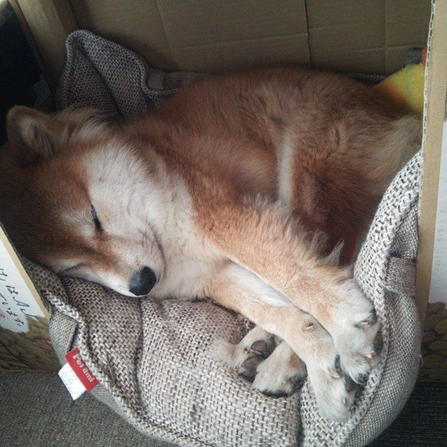 球队精神：赓续的冠军文化传承，球队精神达到90