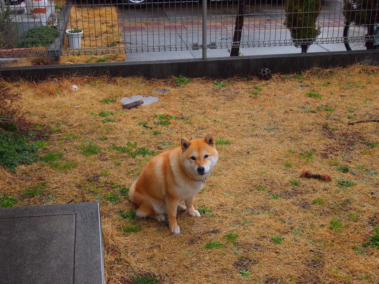 体育新闻中心推动社区体育数字化服务平台，社区体育文化建设