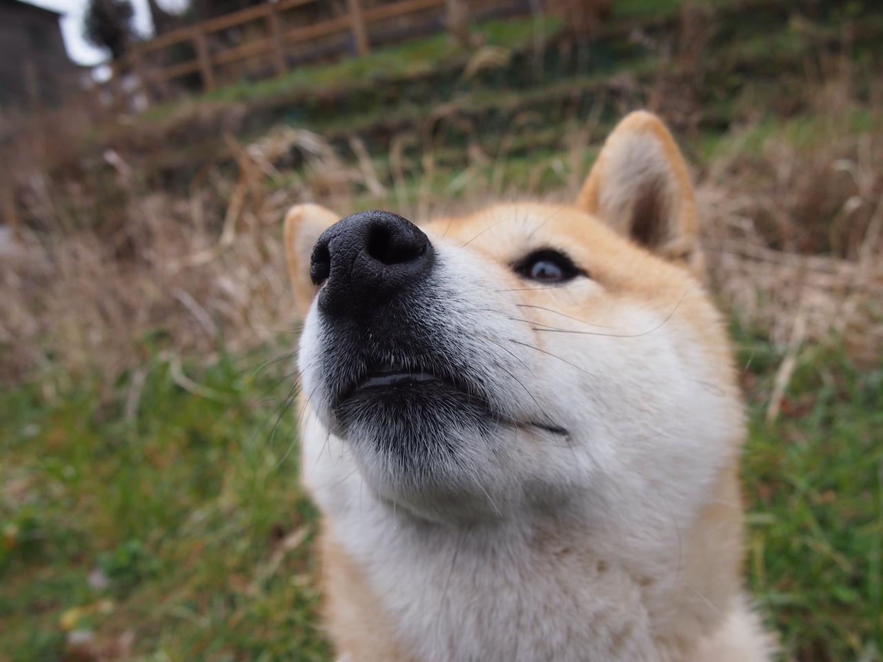 九游9游-新加坡队在国际乒联混合团体世界杯的技术突破与战术调整，新加坡乒乓球公开赛