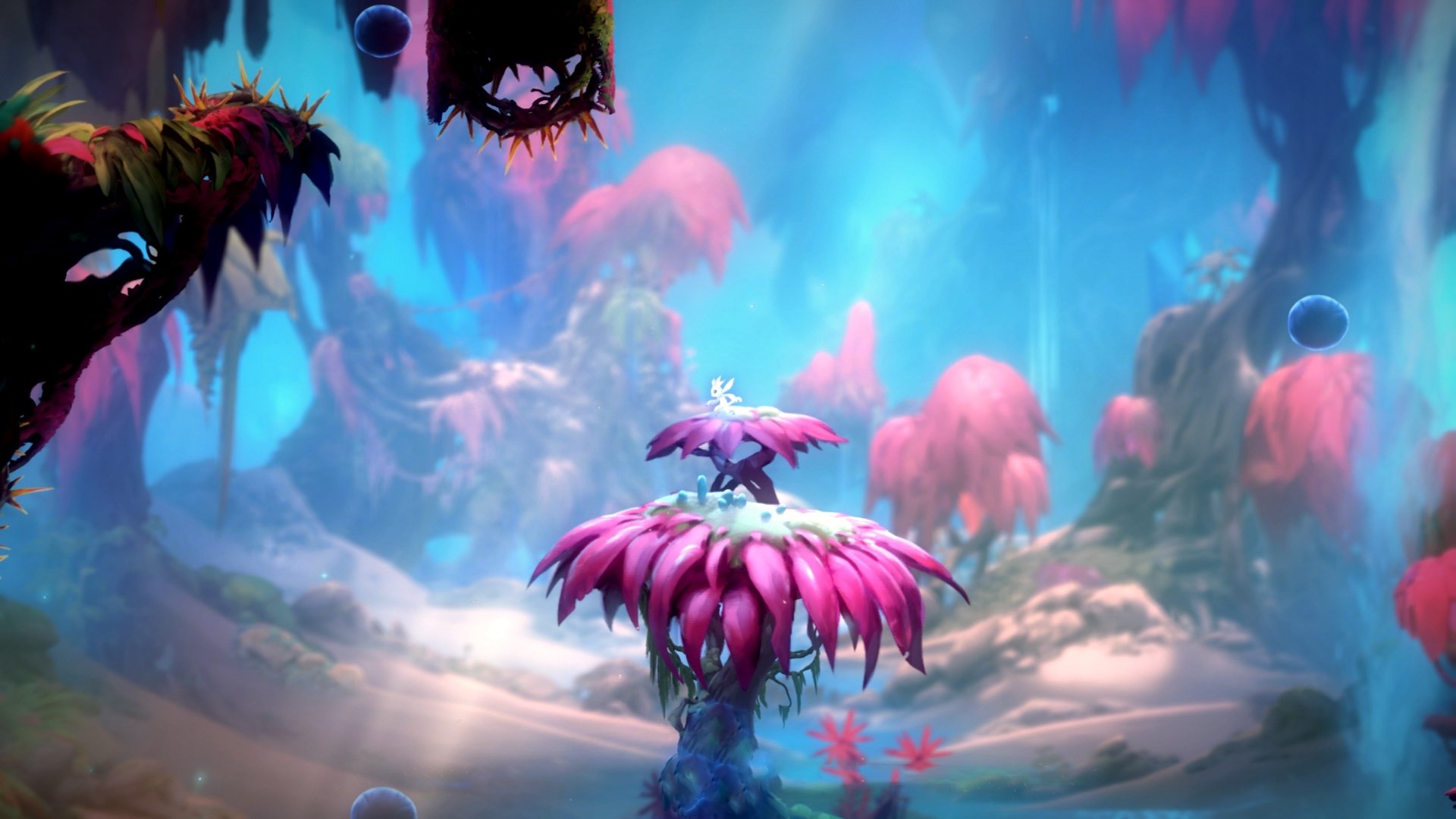 职业网球教练员等级评定标准发布,网球教练国家职业资格