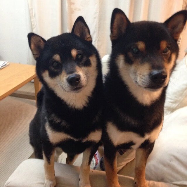 进攻时间控制最合理的球队策略,进攻时间篮球