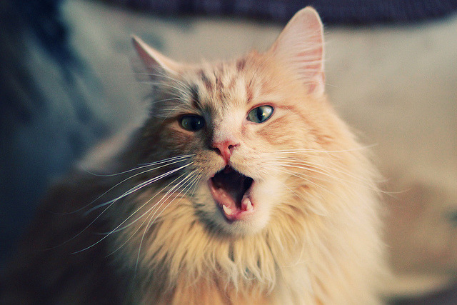 九游娱乐(jiuyou)官方网站-世界杯最燃时刻：激情爆发，难以忘怀！，世界杯片段