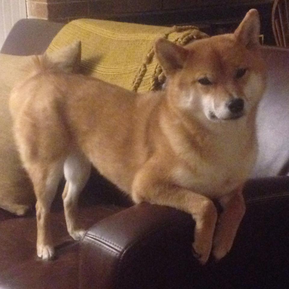 世界杯突破极限：精彩瞬间层出不穷！，世界杯突发