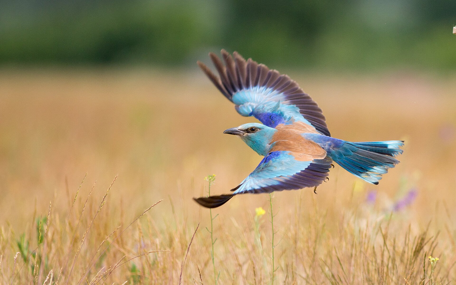 世界杯突破极限：精彩瞬间层出不穷！，世界杯突发