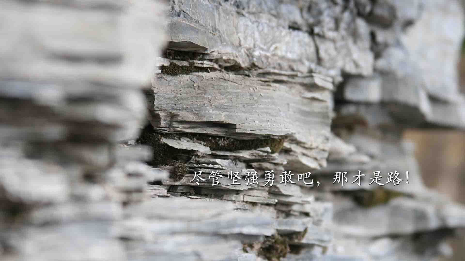 勇士新秀与老将结成互助小组共同进步，勇士新秀2020