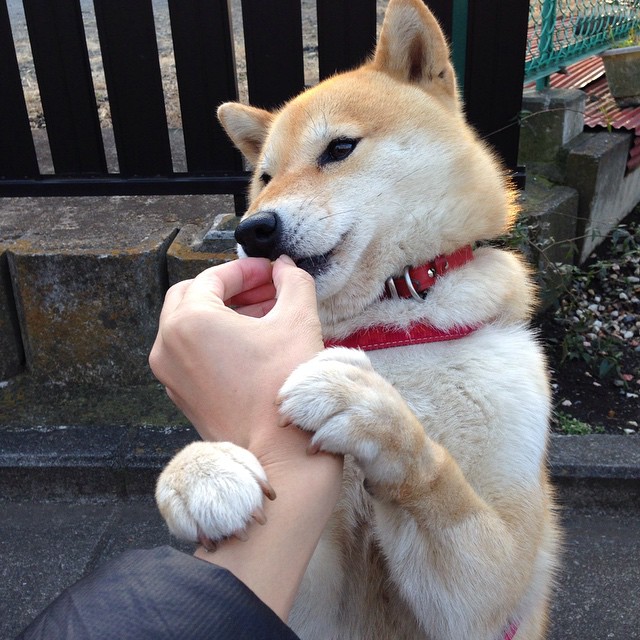 国家滑雪协会发布雪季运动员装备建议参考，滑雪运动员的服装是什么样的