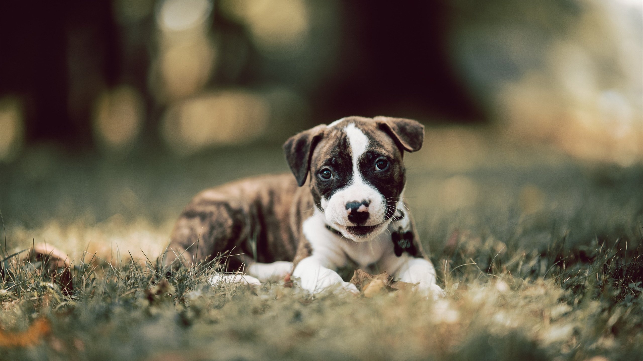 国家网球中心公布开放日及互动体验活动安排,国家网球中心公布开放日及互动体验活动安排