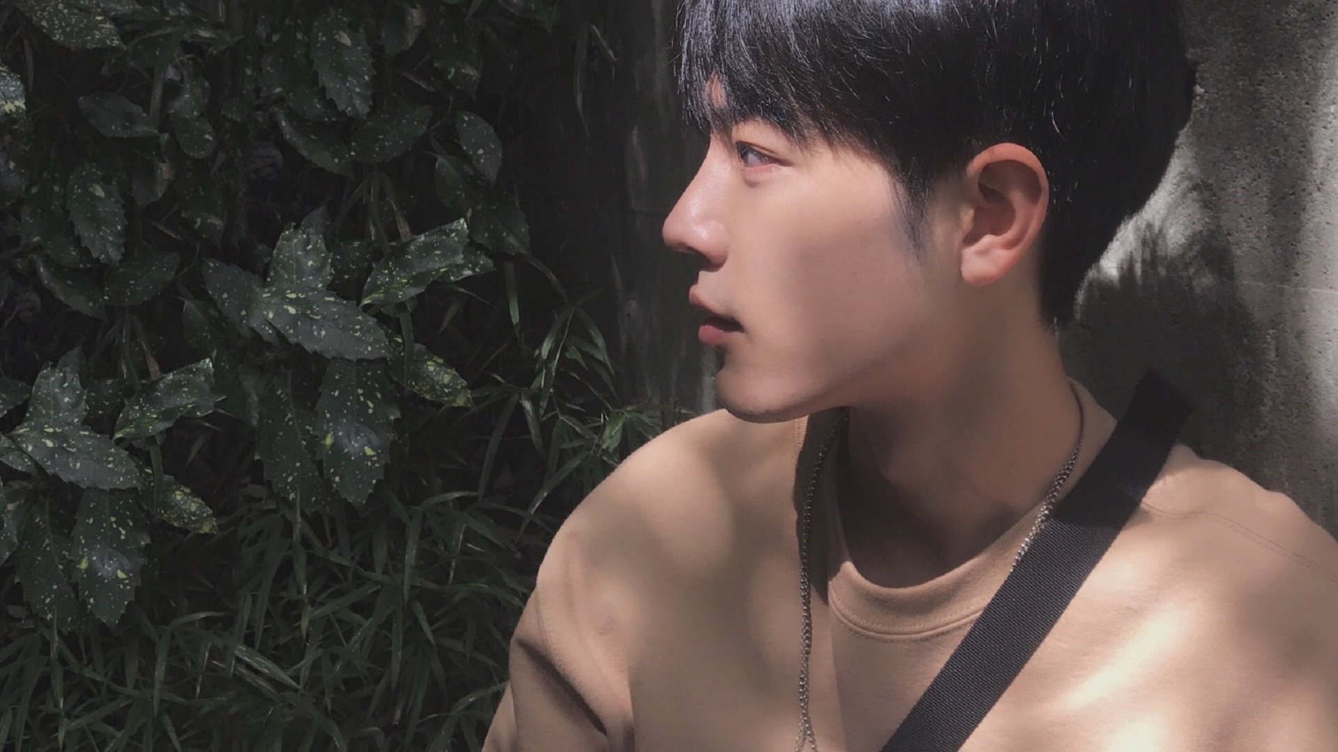 塔特攻防一体，袋鼠队的全能球员，塔特攻防一体,袋鼠队的全能球员叫什么