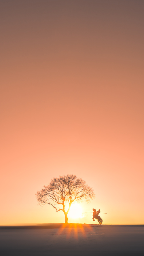 女篮青训鼓励球员参加多种类型比赛积累经验，女篮训练方法表格