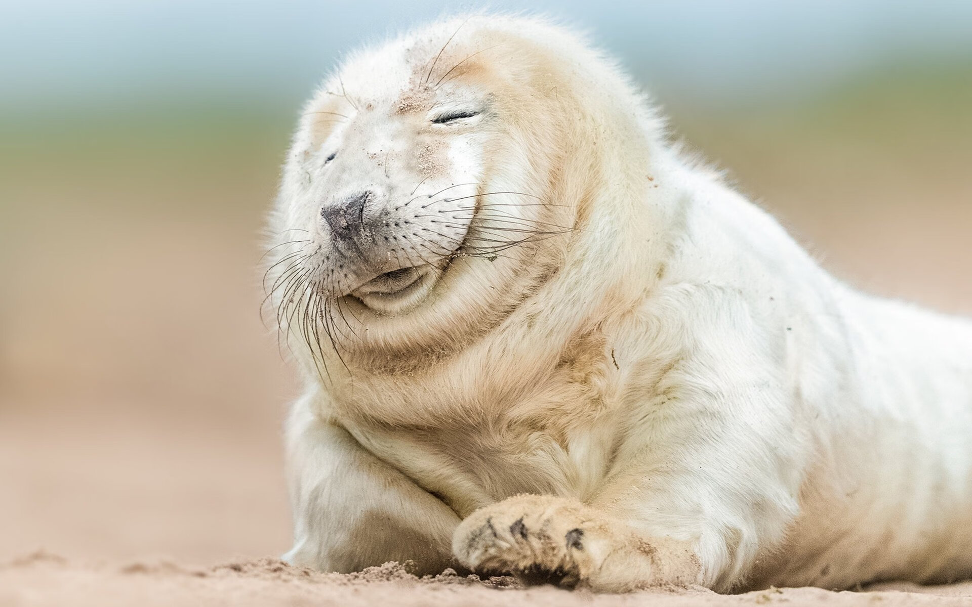 德国希望之星梅尔滕斯挑战长距离极限