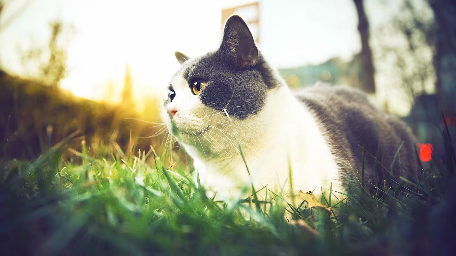 李娜谈女儿首次上场称比自己还紧张，李娜间历