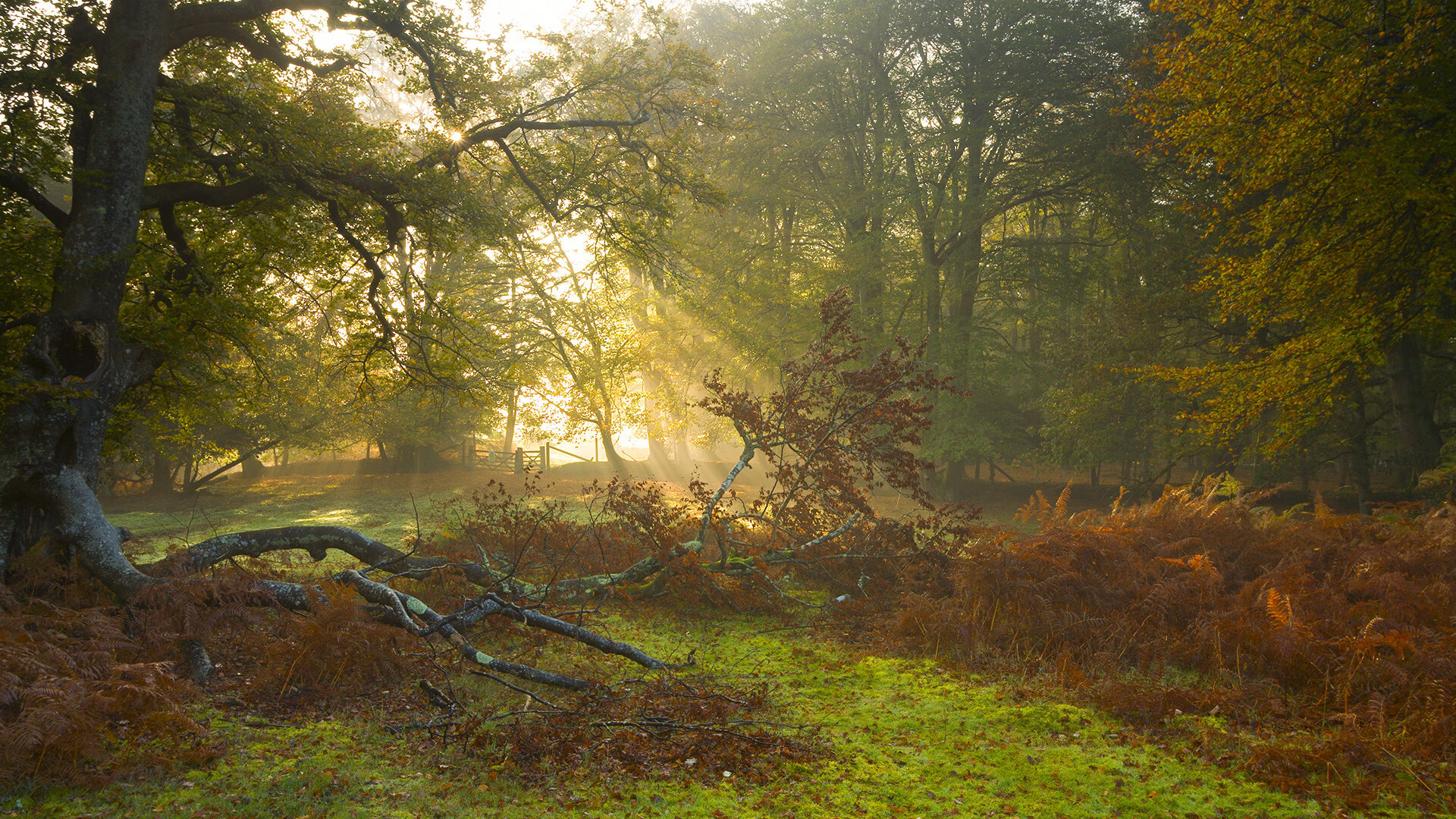 范奥特尔戴克50米蝶泳个人最佳再提升，范戴克凯尔特人